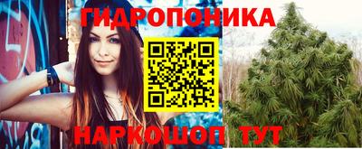 стафф Абакан
