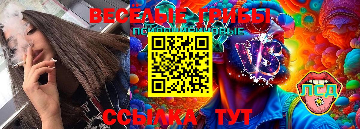 где найти   Псилоцибиновые грибы GOLDEN TEACHER  Вход с VPN  Апатиты 