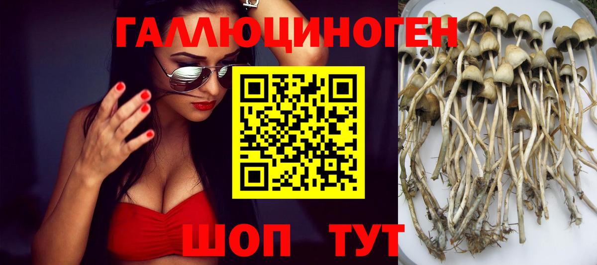 Галлюциногенные грибы ЛСД Апатиты